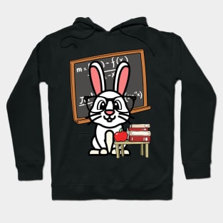 Funny Rabbit is teaching Hoodie